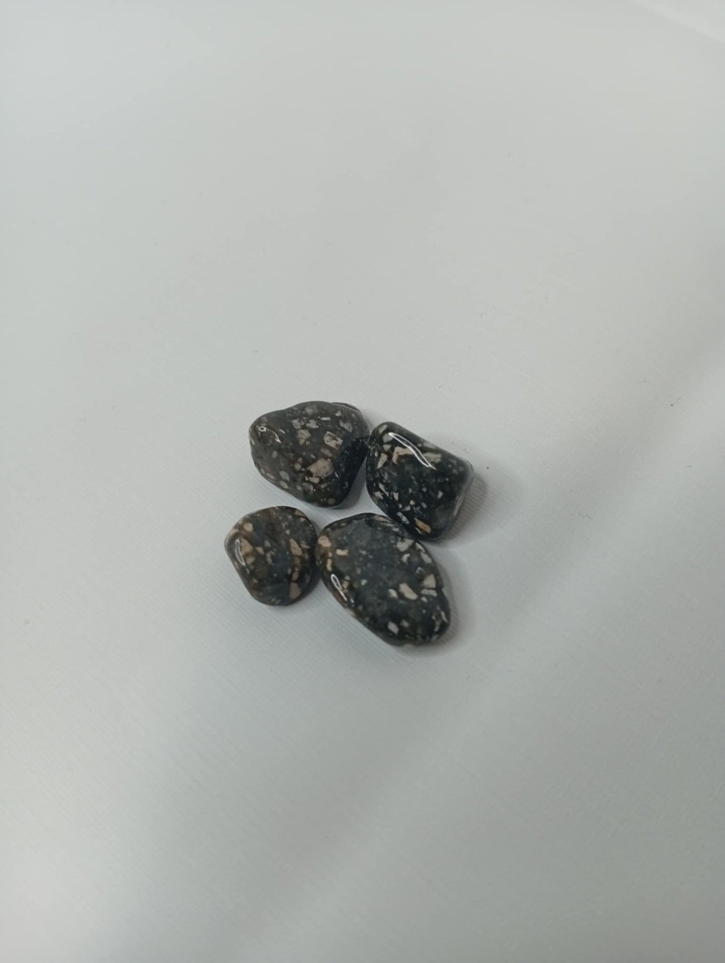 Mini Guinea fowl 1 stk