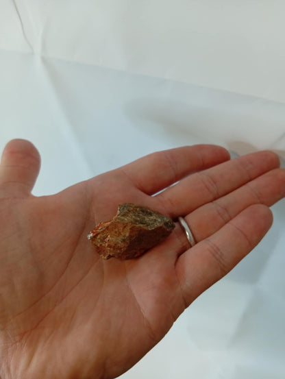 Rå Tiger øje 1 stk